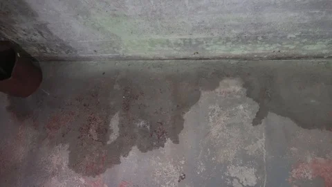 Wall crack with water leaking . Before foundation repair. Stock Footage 119684599