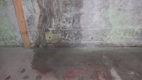 Wall crack with water leaking . Before foundation repair. Stock Footage 119684677