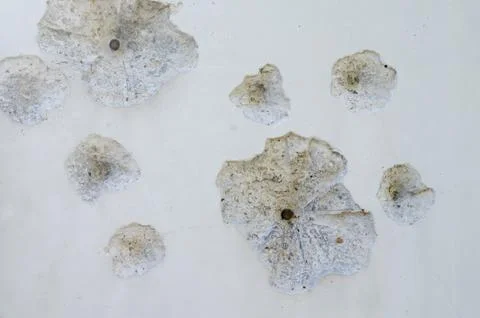 Wall damaged by bullets Stock Photos
