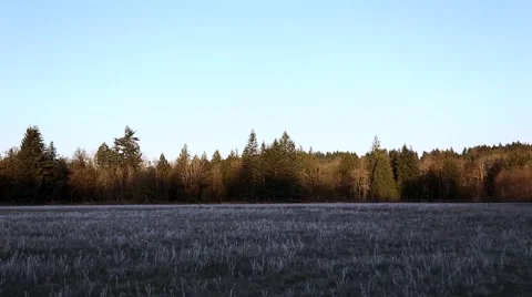 Wall of Dawn Awakens a Frosted Field Stock Footage 62581663