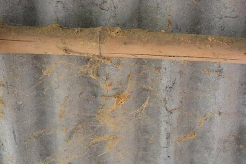 Wall decay 스톡 사진