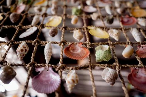Wall decorated with scallop shells in a row Stockfoto's