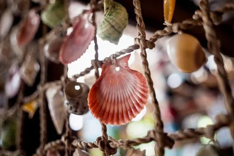 Wall decorated with scallop shells in a row Foto stock
