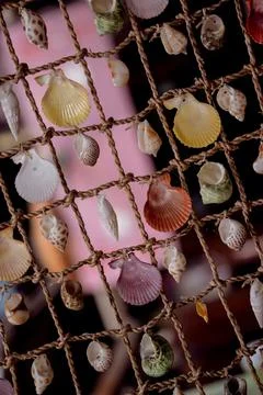 Wall decorated with scallop shells in a row Foto stock