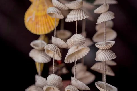 Wall decorated with scallop shells in a row Foto stock