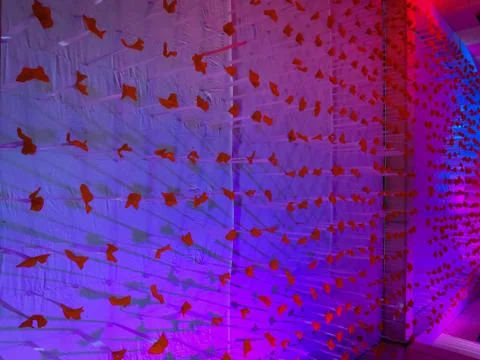Wall Decoration With Blue Light Effect And Red Flowers. Foto stock