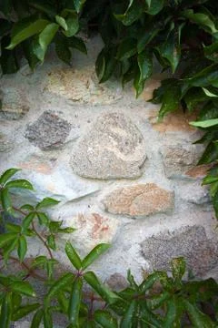 Wall decoration Foto stock