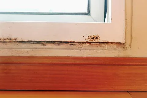 Wall demage down the frame window from the room interior view Stock Photos