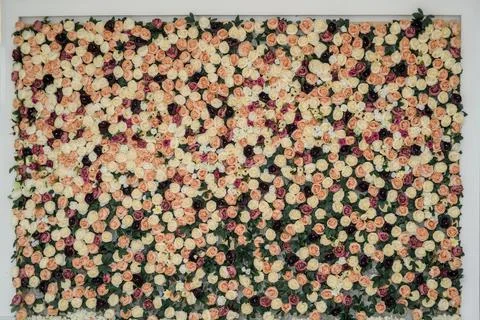 Wall with different flowers. Backgrounds, textures, wallpaper Stock Photos