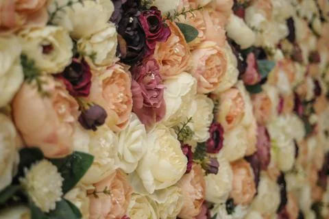 Wall with different flowers. Backgrounds, textures, wallpaper Stockfoto's