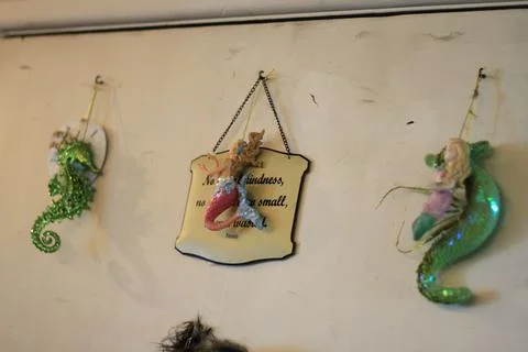 Wall Display 스톡 사진