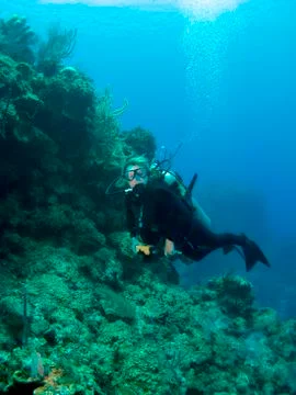 Wall diving in the cayman islands Foto stock