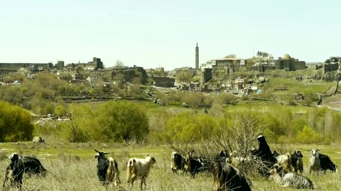 Wall diyarbakir Video stock 138343554