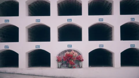 Wall of empty tombs Stock Footage 66859710