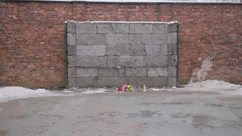 The wall of the execution of Jews in the Auschwitz camp. Stock Footage 263994457