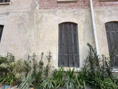 Wall facade with a window and vegetation. Stock Photos