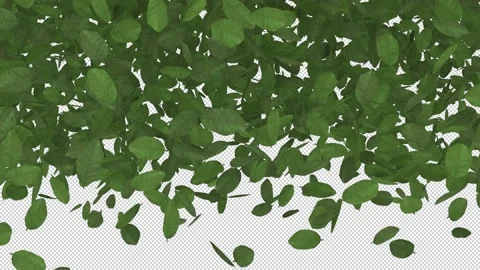 Wall of Falling Leaves - Alpha Channel - Stock Footage 149956139