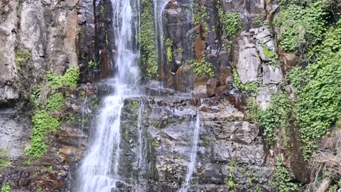 Wall of falling water from the rocks down to river bed in Minnamurra as 4k. Stock Footage 139963239
