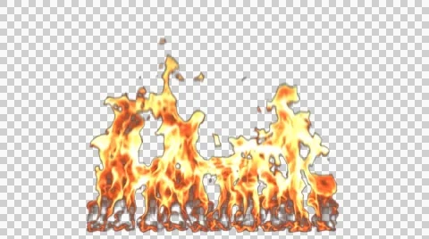 Wall of Fire Alpha Channel Stock Footage 51553494