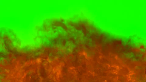 Wall of fire on green screen. v.2 Stock Footage 141638519