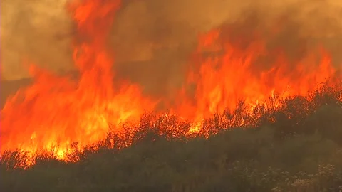 Wall of flames - brush fire Stock Footage 219297601