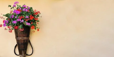 Wall with flower pot for background use with copy space Fotos de archivo