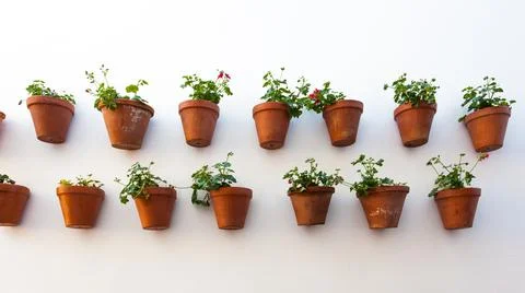 Wall with flower pots 스톡 사진