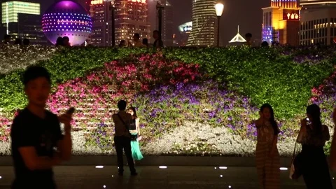 Wall of flowers, Shanghai Stock Footage 71122063
