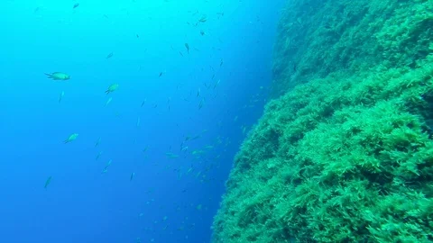 On the wall 스톡 동영상 90842930