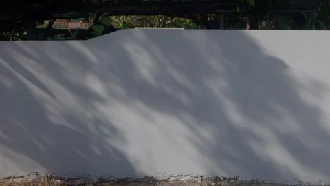 Wall Stock Footage 301818364