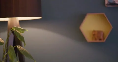 Wall Video stock 302993492