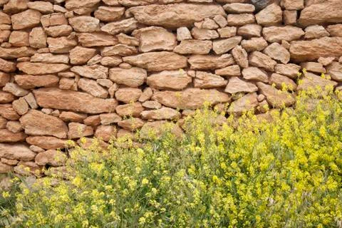 Wall in Formentera Stock Photos