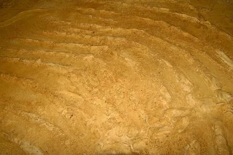 Wall with  fossils Stock Photos