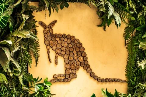 Wall frame of a Kangaroo Stock Photos