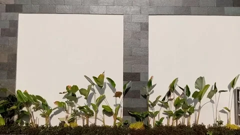Wall garden Stock Footage 211324718