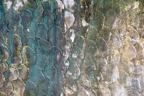 Wall with a green and white pattern 스톡 사진