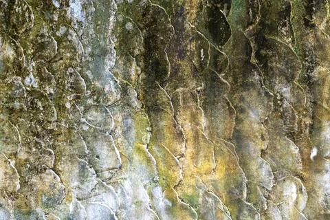 Wall with a green and white pattern Stock-Fotos