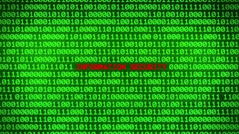 Wall of Green Binary Code Revealing INFORMATION SECURITY Data Matrix Background Stock Footage 82214413
