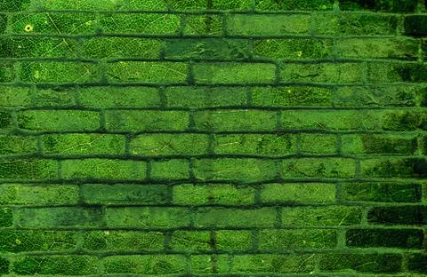 Wall of green leaf Foto stock