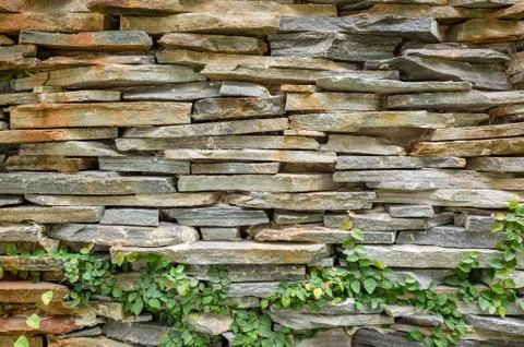 Wall with green moss background Stock Photos