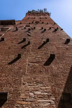 Wall Of The Guinigi Tower Stock Photos