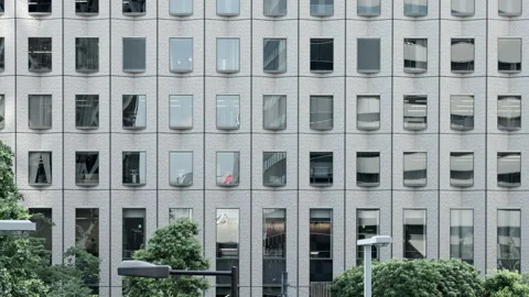 Wall of a High-Rise Building with Regular Grids and Window Frames Vídeos de archivo 335805297
