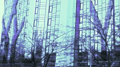 The Wall Of A House With Close Growing Trees In Violet Blue Tones Stock Footage 103484934