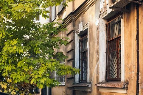 Wall of a house with windows with rusty bars next to a sprawling green tree Stock Photos