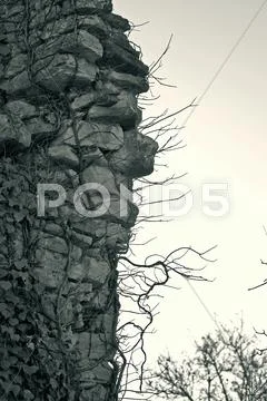 Wall イラスト素材