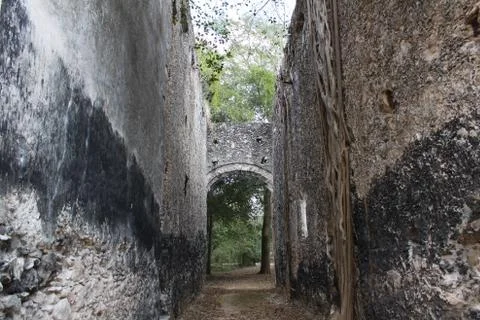 The wall in the jungle Stock Photos