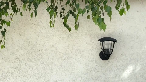 Wall with a lantern over which birch leaves sway in the wind. s Stock Footage 244479991