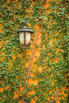 Wall lantern with small leaves pattern background Foto stock