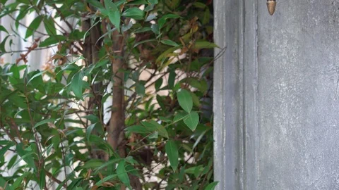 Wall light. Stock Footage 88540769