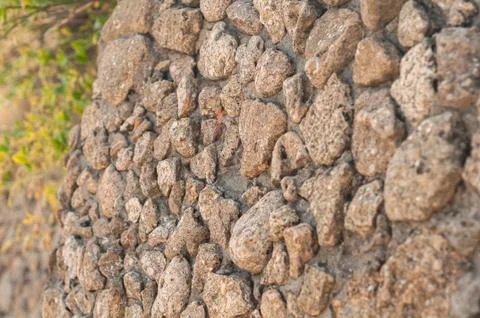 Wall lined with shellfish Stock Photos